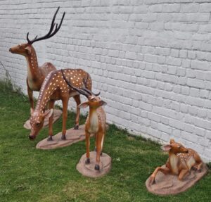 deer-greenpointangul